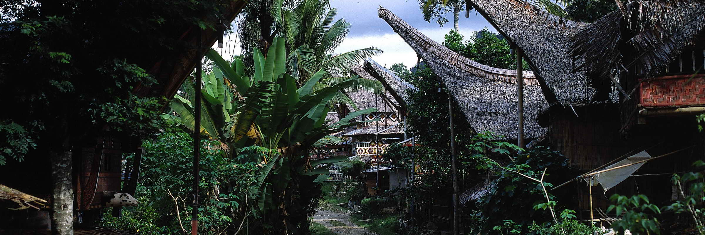 strasse-tongkonan-sulawesi-sueden-indonesien