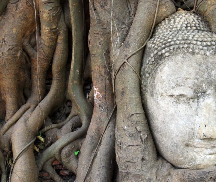 Der Wat Mahathat Tempel steht im Geschichtspark Sukhothai und ist mehrere Hundert Jahre alt.