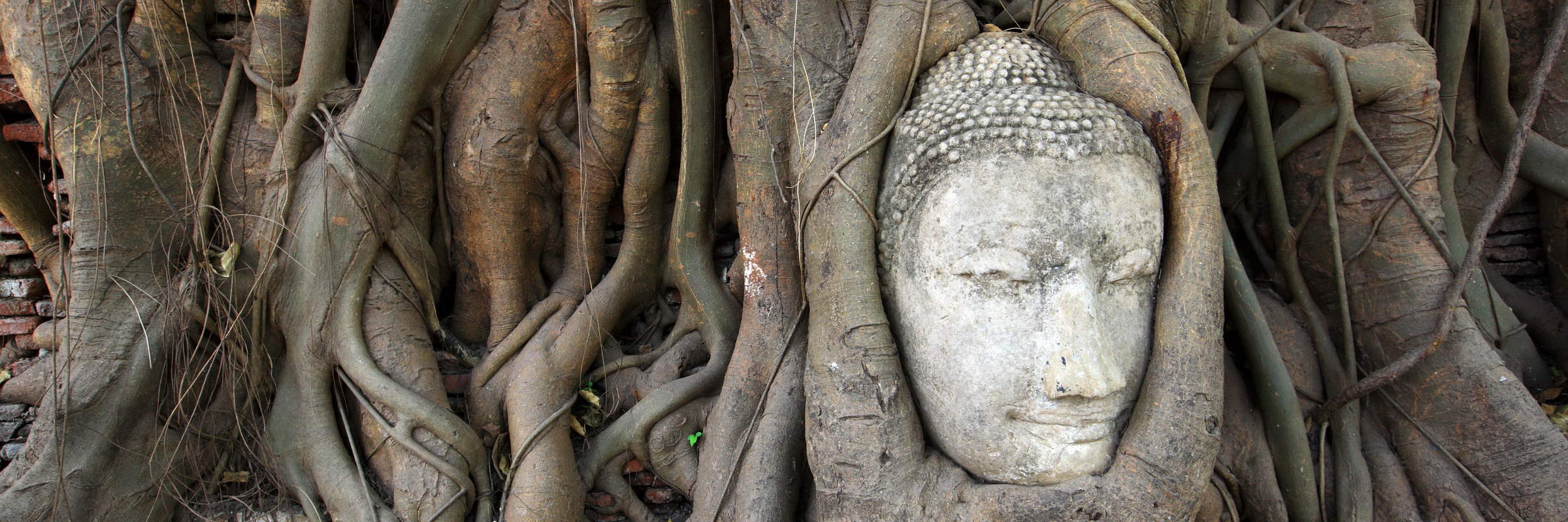 Der Wat Mahathat Tempel steht im Geschichtspark Sukhothai und ist mehrere Hundert Jahre alt.