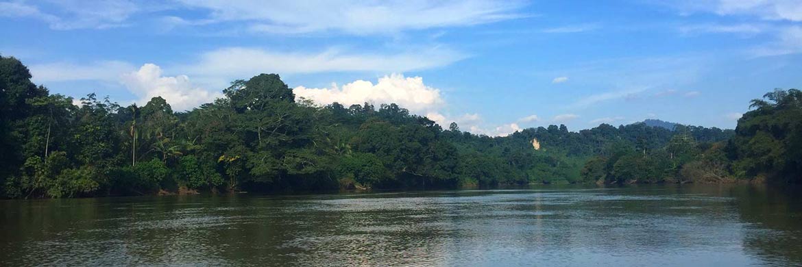 Über die Flüsse, die in Kalimantan die Straßen ersetzen, kann man tief in den Dschungel vordringen.