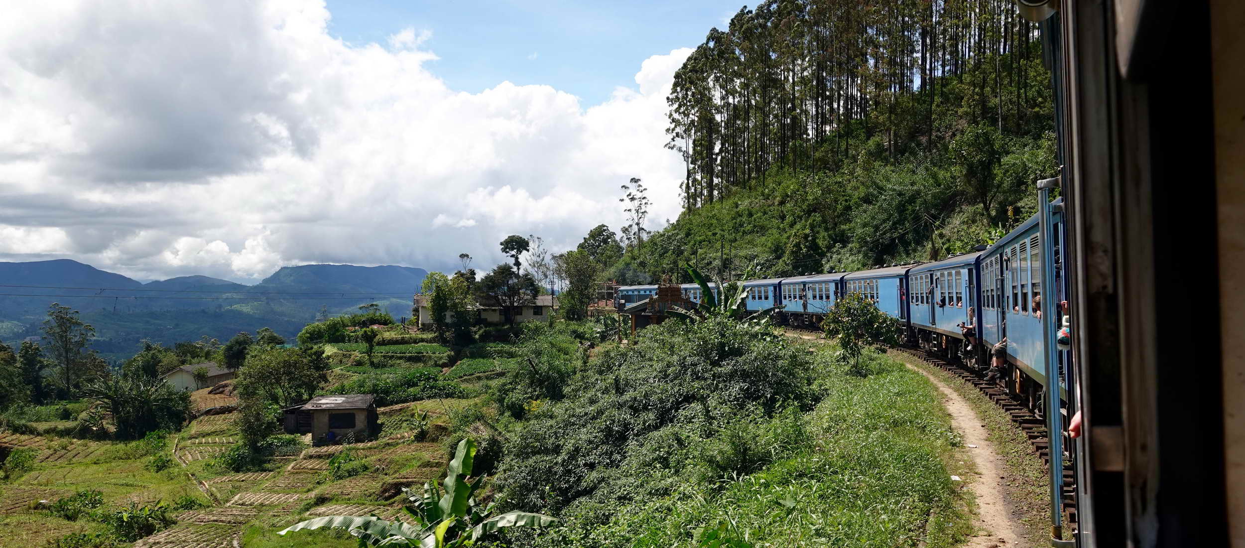 Ein muss im Sri Lanka Urlaub: eine Zugfahrt durch das Hochland