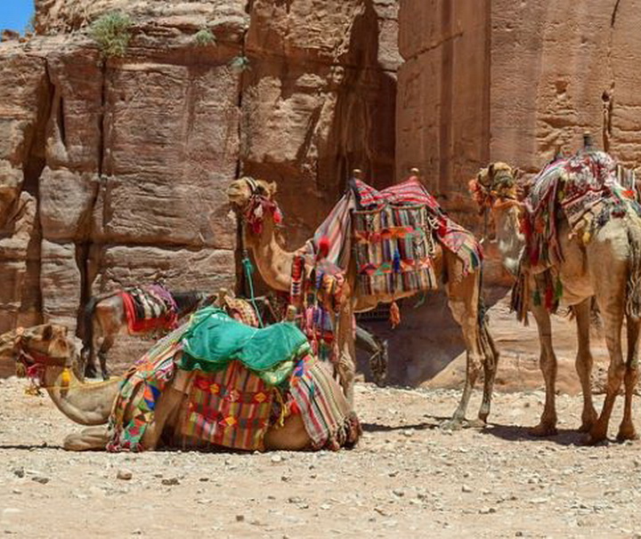 Deluxe Reise Jordanien