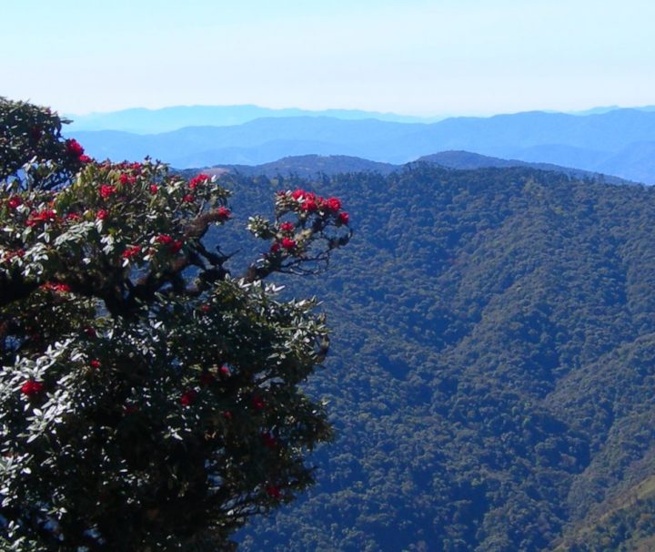 Die bergige Landschaft im Chin-Staat im Westen von Myanmar lädt zu ausgedehnten Wander- und Trekkingtouren ein.