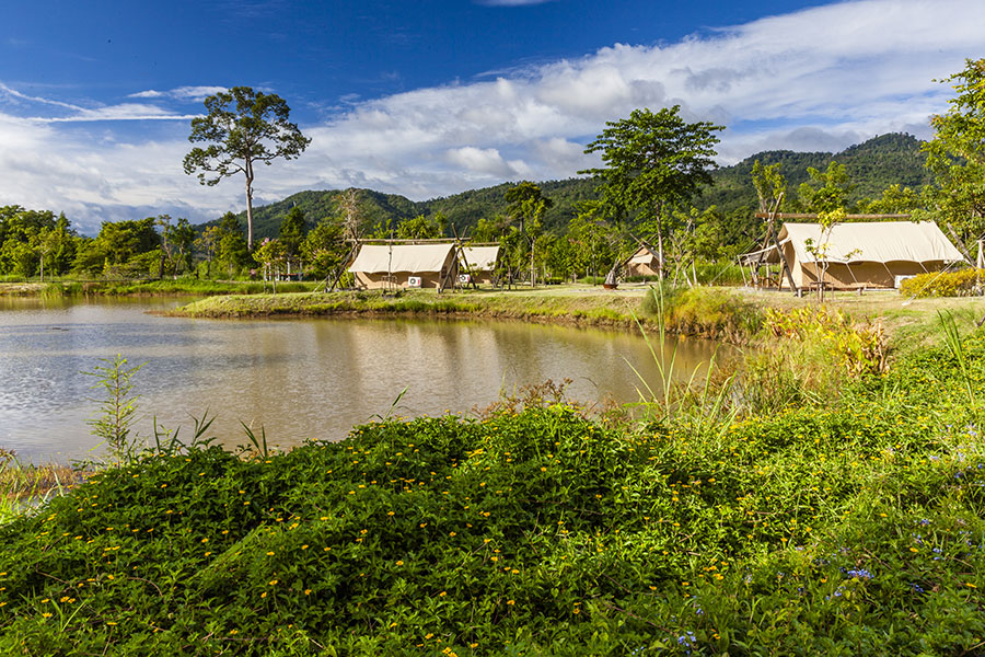 Das Lala Mukha Camp im thailändischen Khao Yai Nationalpark