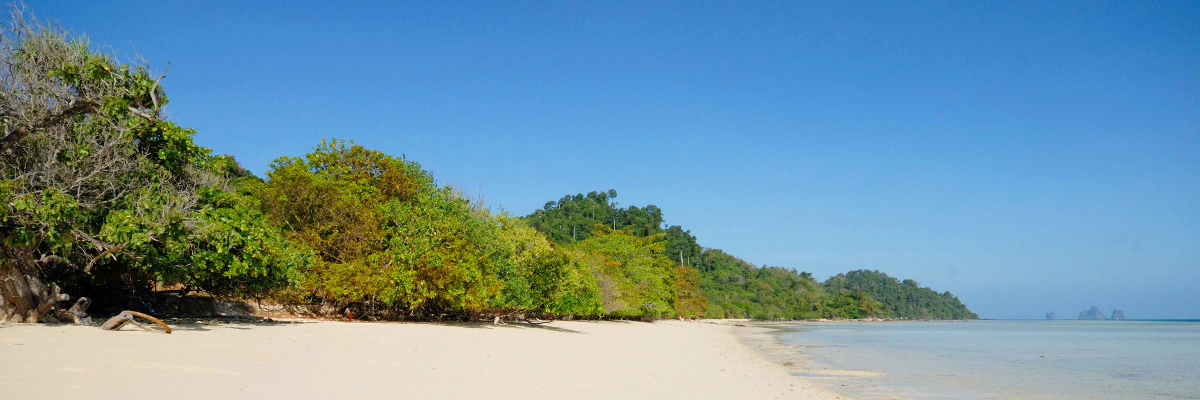 Koh Kradan ist ein kleines Inselparadies, dass fast vollständig von dichtem Dschungel bedeckt ist.