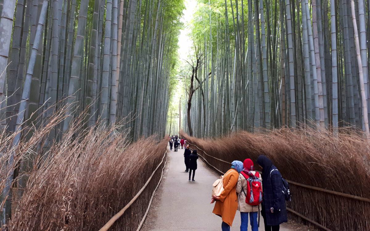 Arashiyama ist eine national ausgewiesene historische Stätte und bekannt für seine landschaftliche Schönheit.