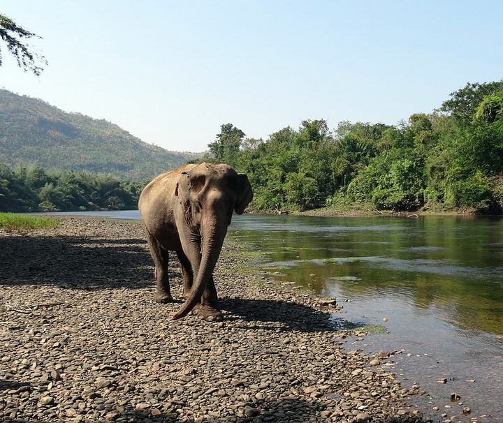 Elephant Nature Park