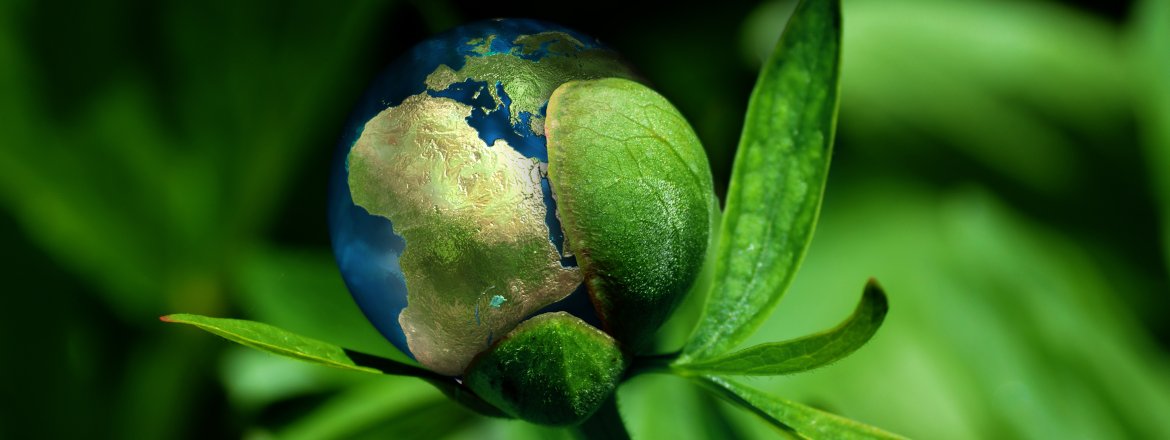 Mit reisefieber reisen und den Klimapatenschaften können Sie Ihren CO2 Fußabdruck für Ihre Flugreise verringen.