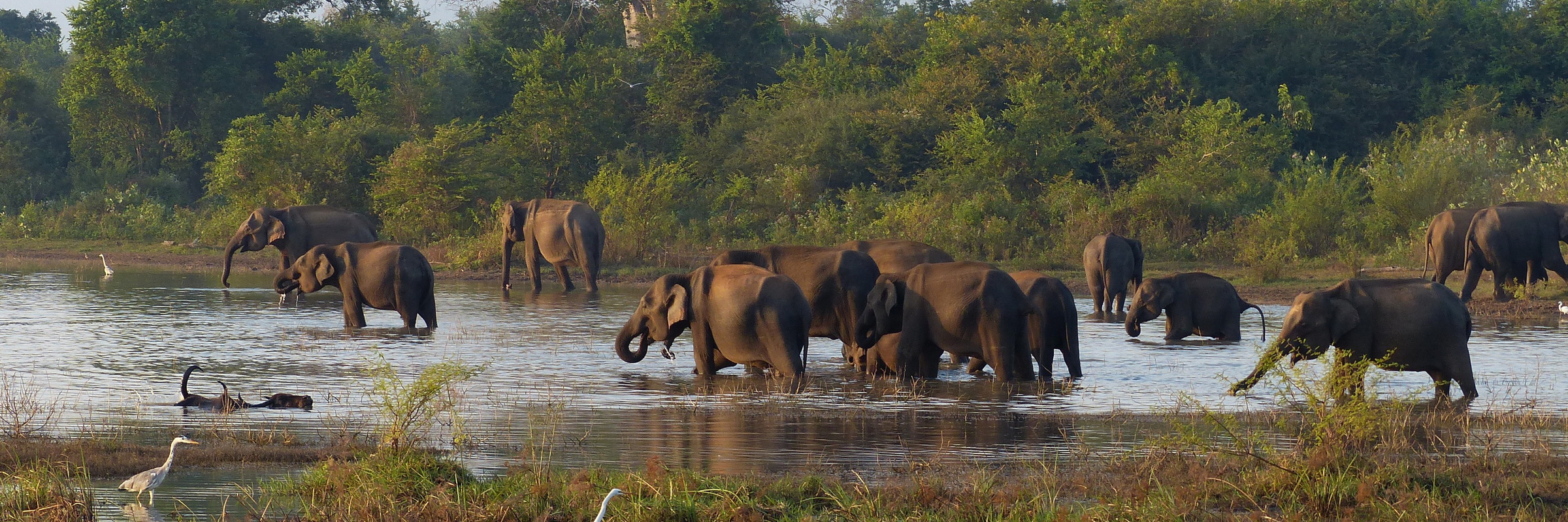 Sri Lanka Rundreise mit Baden