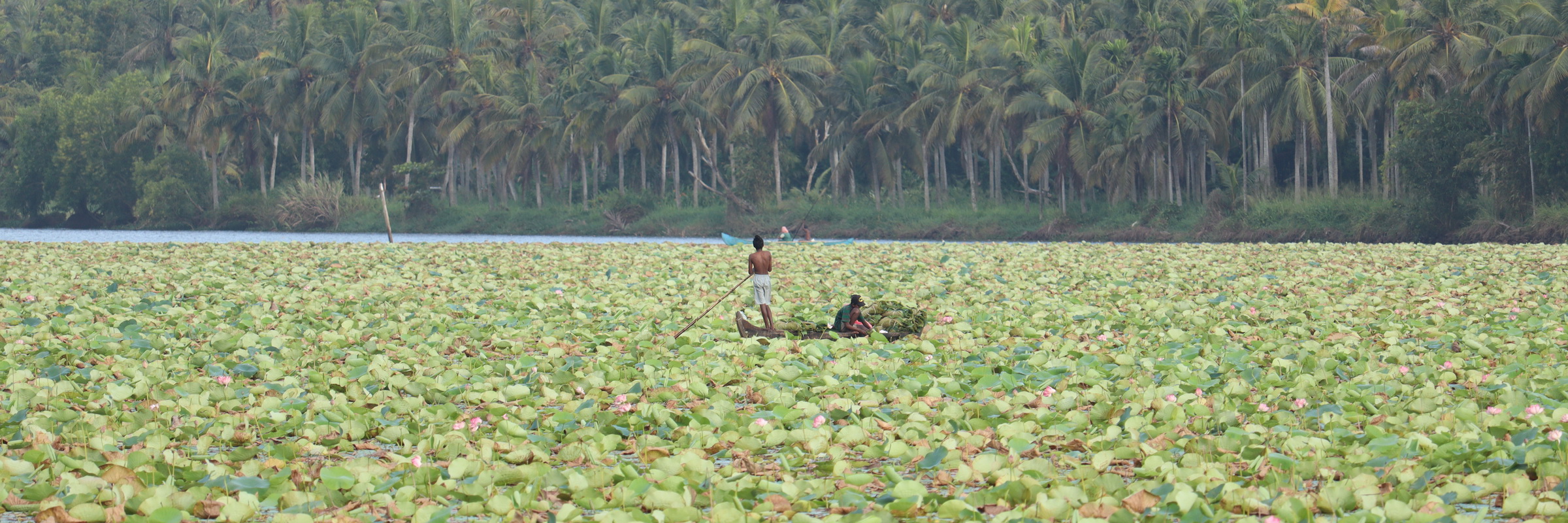 Indien Hausboot