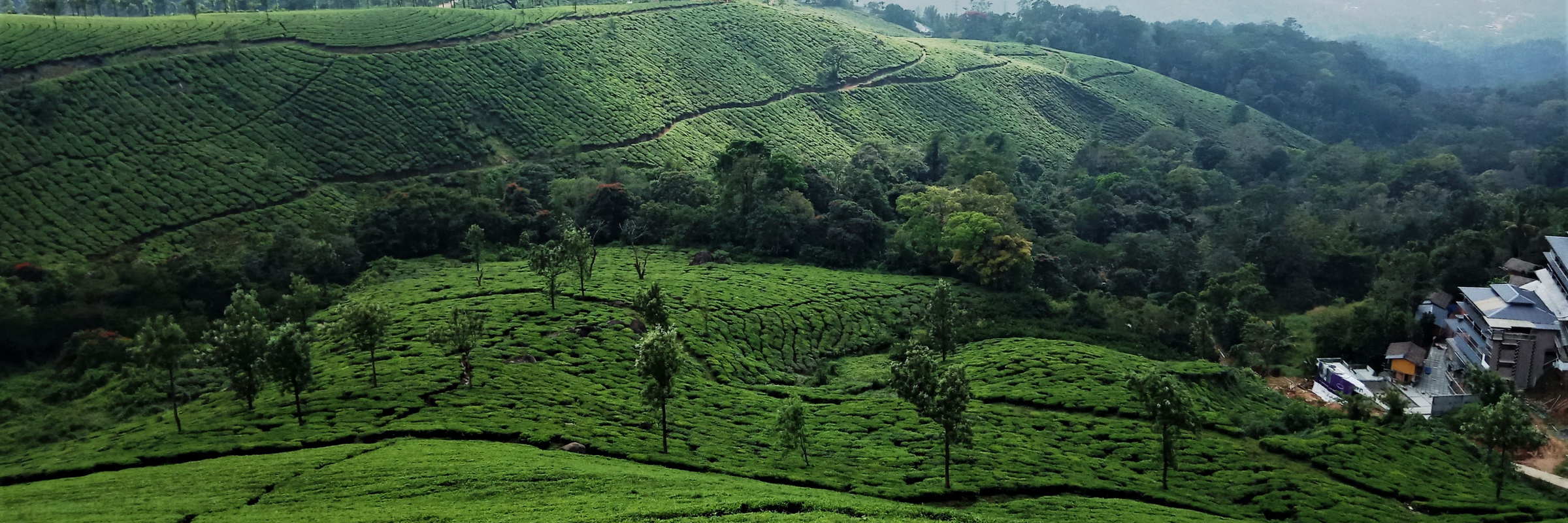 Kerala Highlights