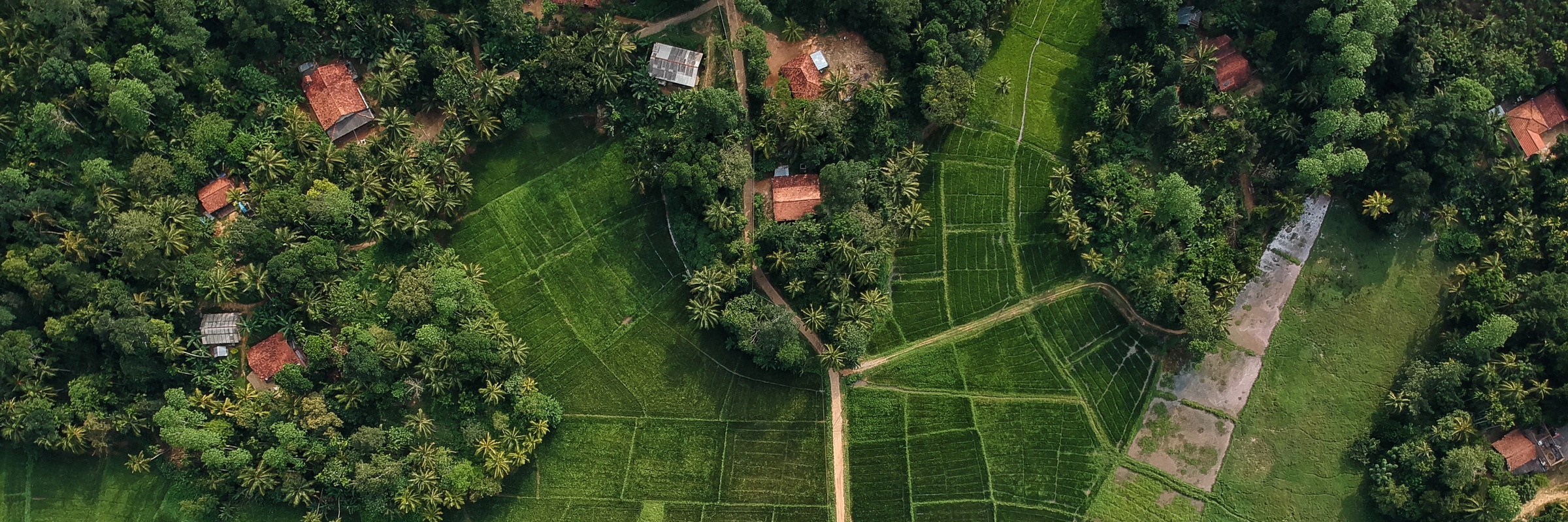 sri lanka rundreise