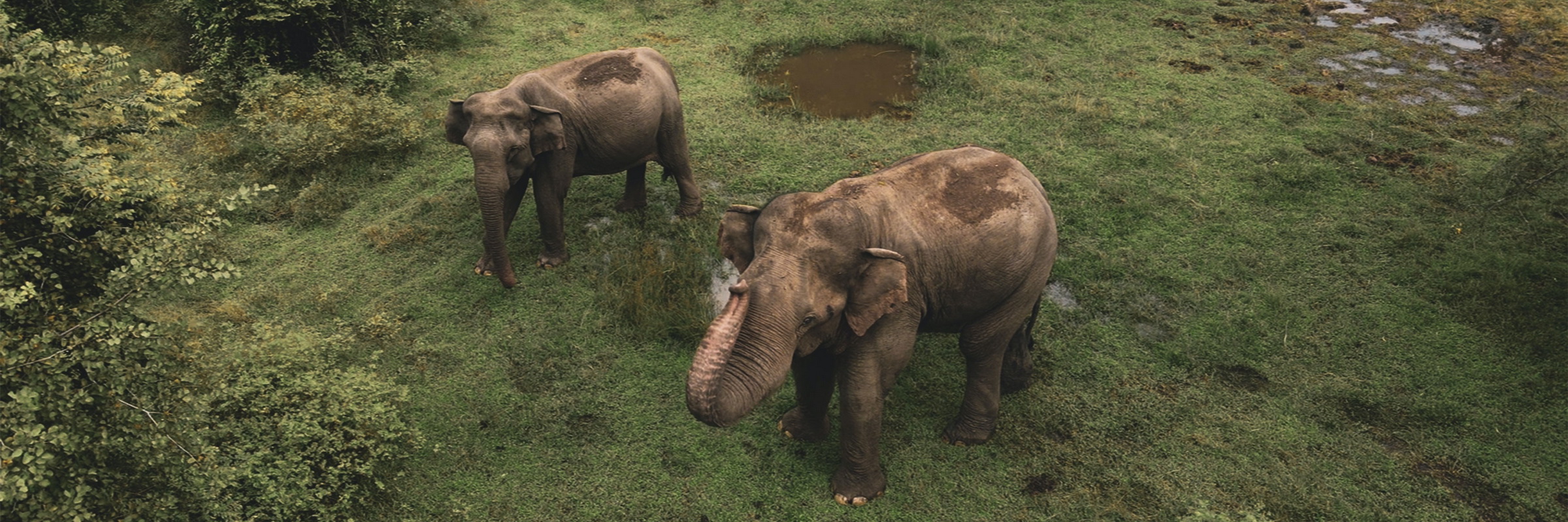 sri Lanka private rundreise