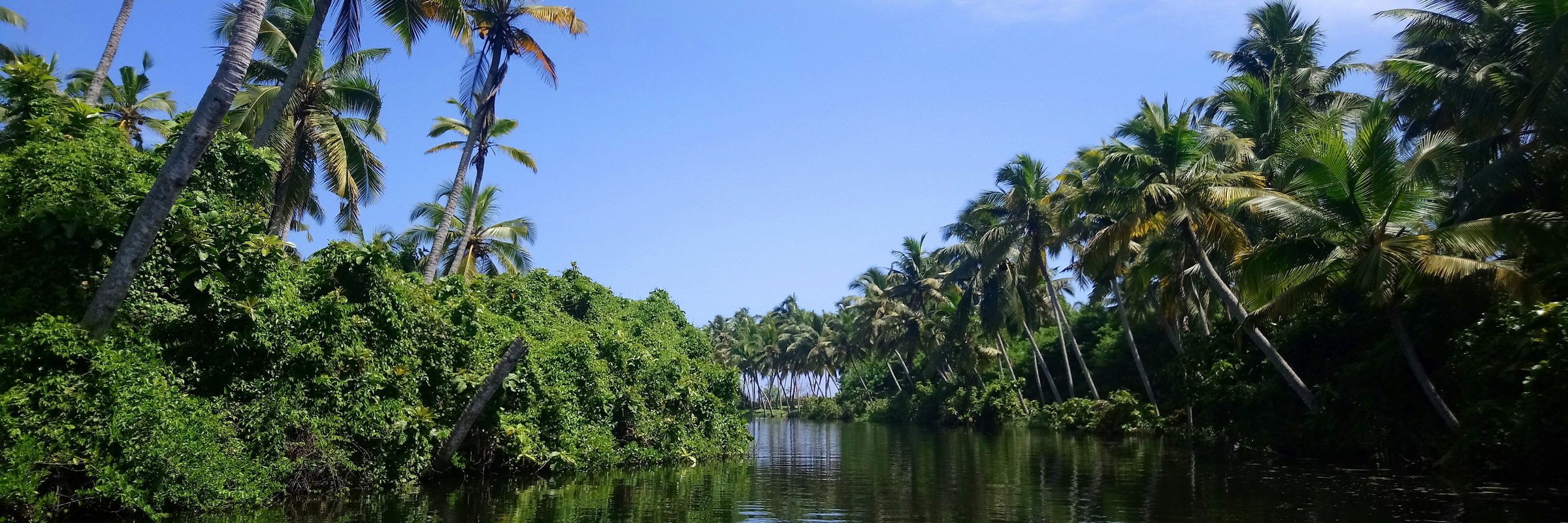 Kerala Highlights