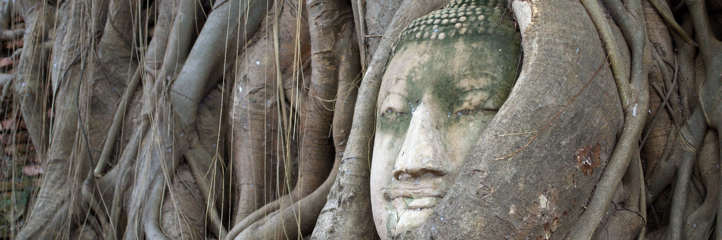 Best of Thailand