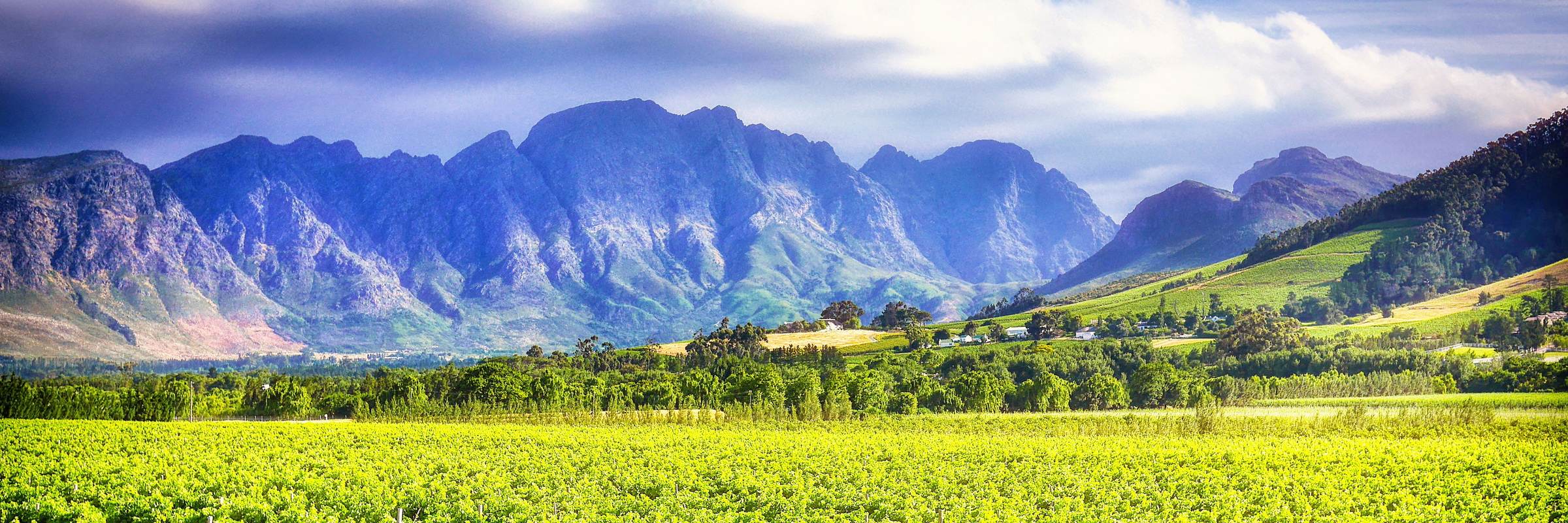 Südafrika ist bekannt für seine Weingüter, in denen fruchtige und elegante Weinsorten angebaut werden.
