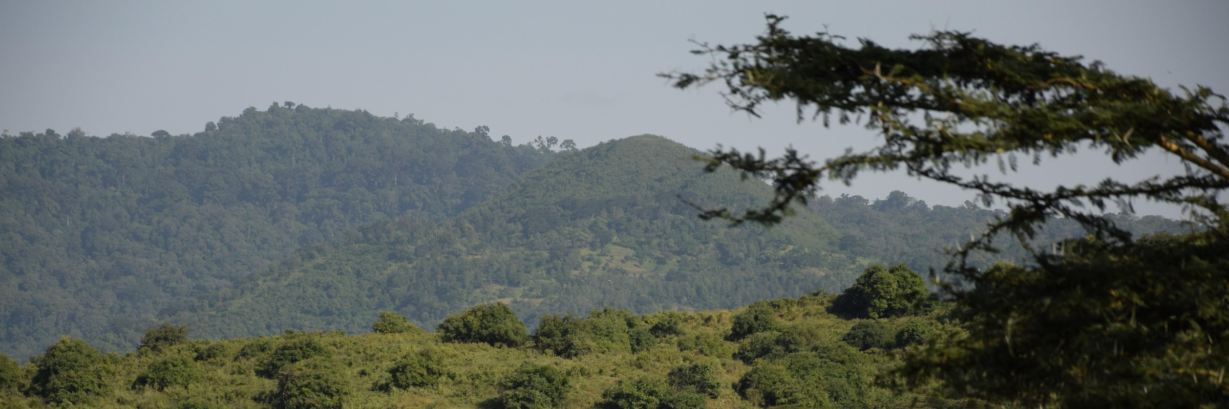 In der beeindruckenden Landschaft des Arusha Nationalpark gibt es Vulkankrater, Savanne, Bergwälder, sowie malerische Seen und Wasserfälle zu entdecken.