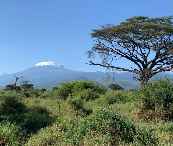 Tansania Gruppenreise – Naturwunder rund um den Kilimanjaro – Der Kilimanjaro und die ihn umgebende Landschaft sind seit dem Jahr 1987 Teil des UNESCO-Weltnaturerbe.