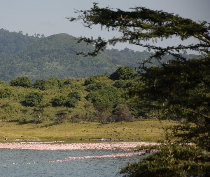 Tansania Safari Tour – Bei den Momella-Seen handelt es um eine Reihe von kleineren Seen im Nordosten des Arusha-Nationalpark.
