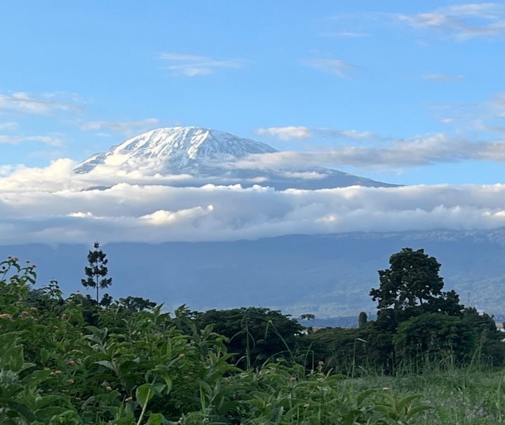 Der Kilimanjaro sowie die umliegende Landschaft wurden von der UNESCO im Jahre 1987 zum Weltnaturerbe erklärt.