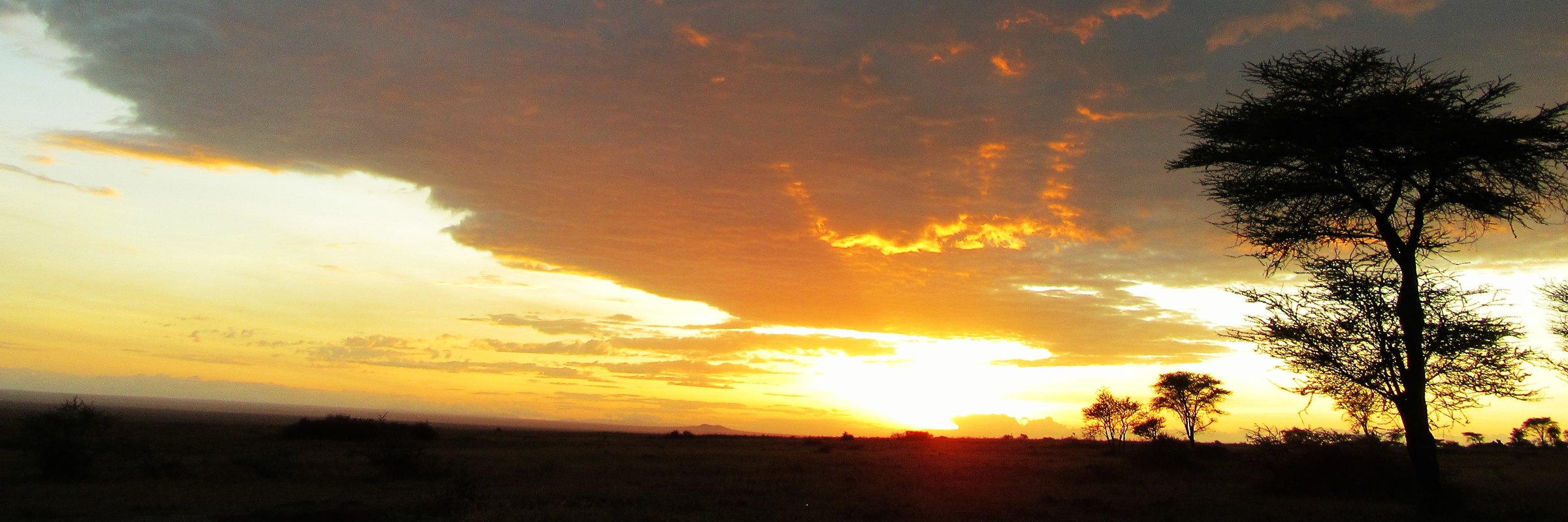 Malerische Sonnenaufgänge in der Steppe sind ein häufiges Bild während einer Safari in Tansania.