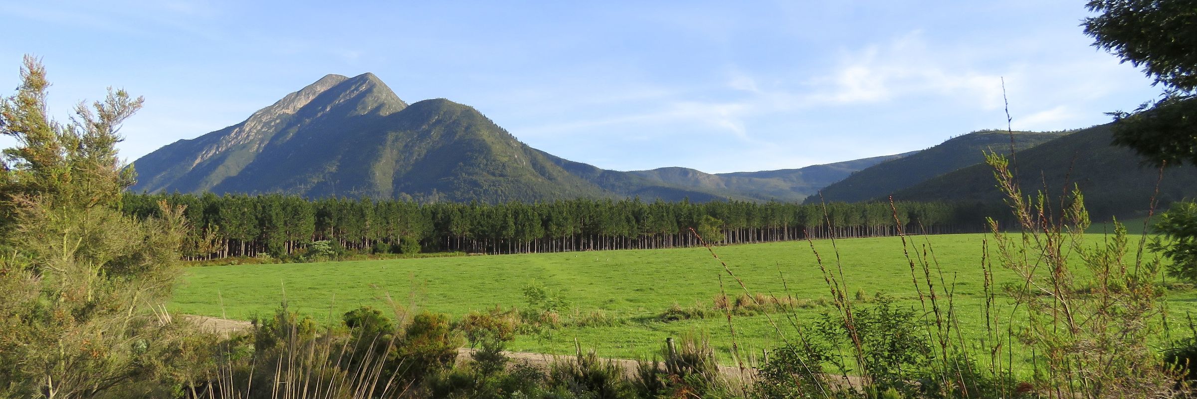 Die Tsitsikamma-Berge entlang der Garden Route bilden eine Ost-West-Bergkette in den südafrikanischen Provinzen Westkap und Ostkap.