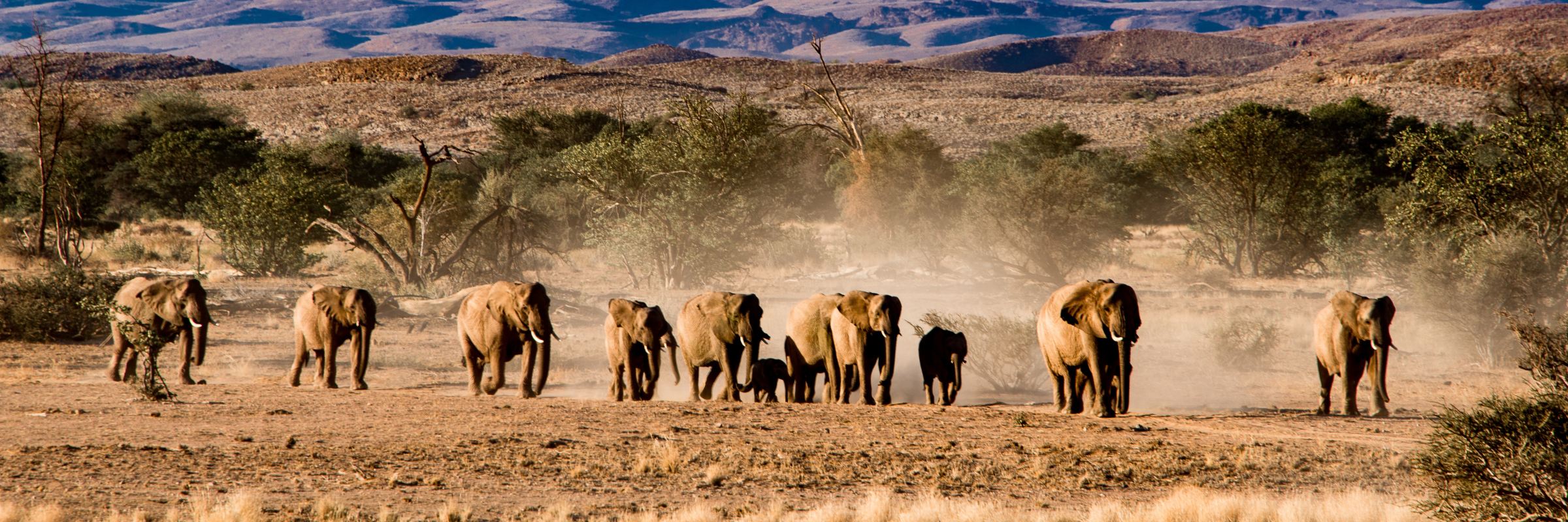 Namibia Reisefieber