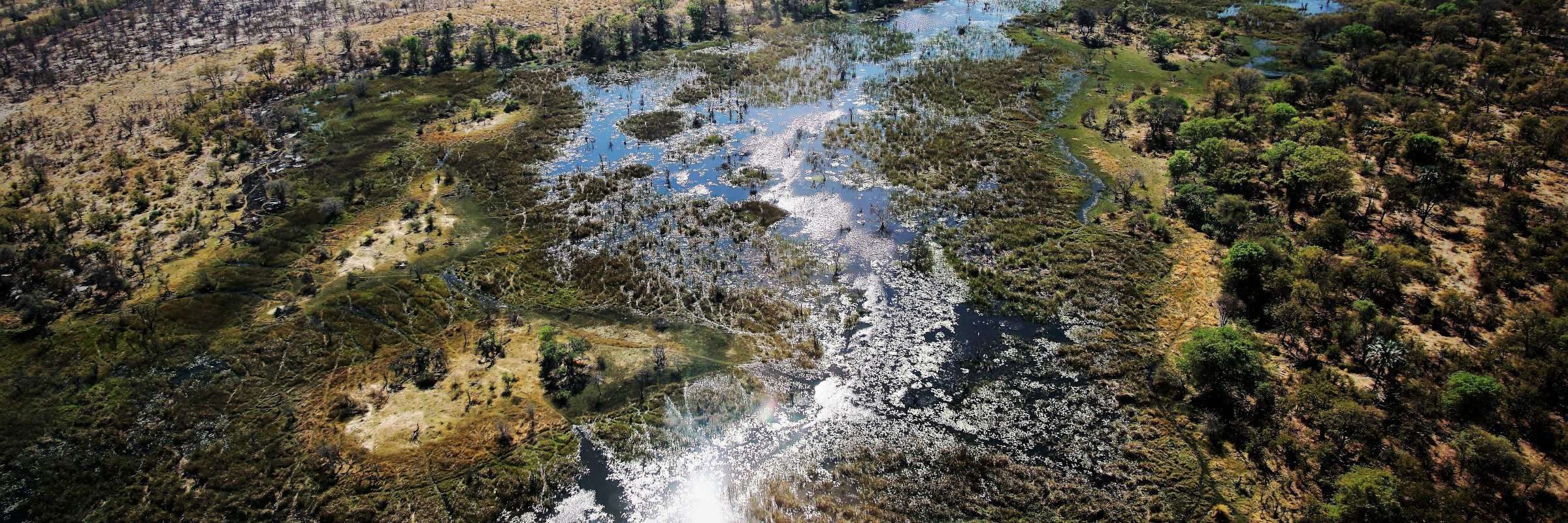 Feuchtsavanne im Okavango-Delta in Botswana