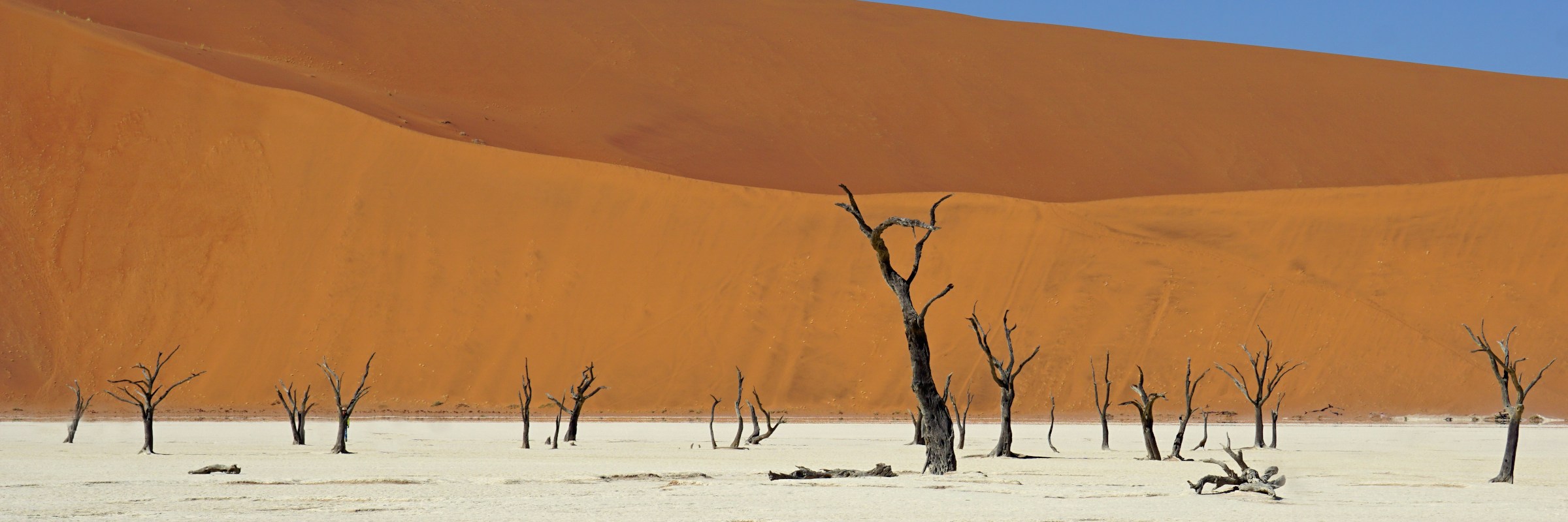 Die ausgetrockneten Kameldornakazien in der von Sanddünen eingeschlossenen Ton-Pfanne Dead Vlei in der Wüste Namib sollen über 500 Jahre alt sein.