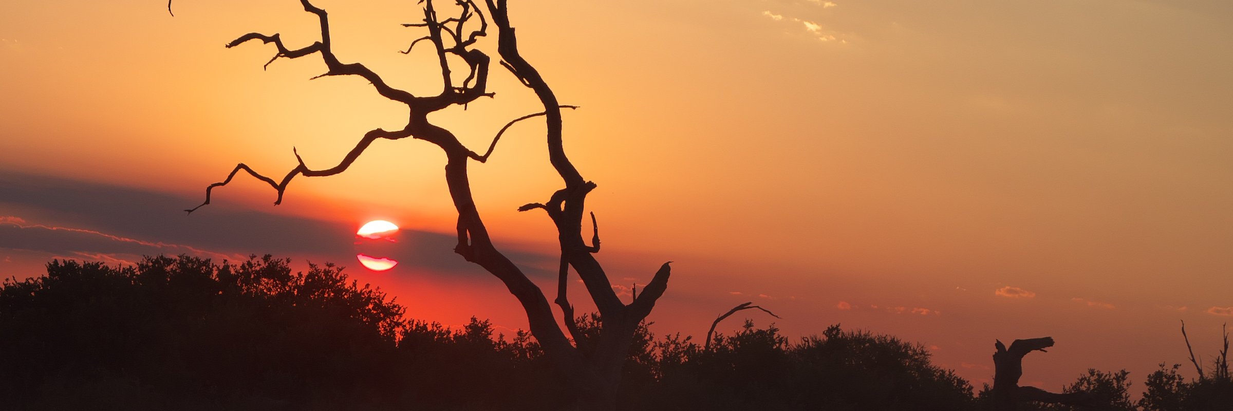 Sonnenuntergang im Chobe-Nationalpark in Botswana