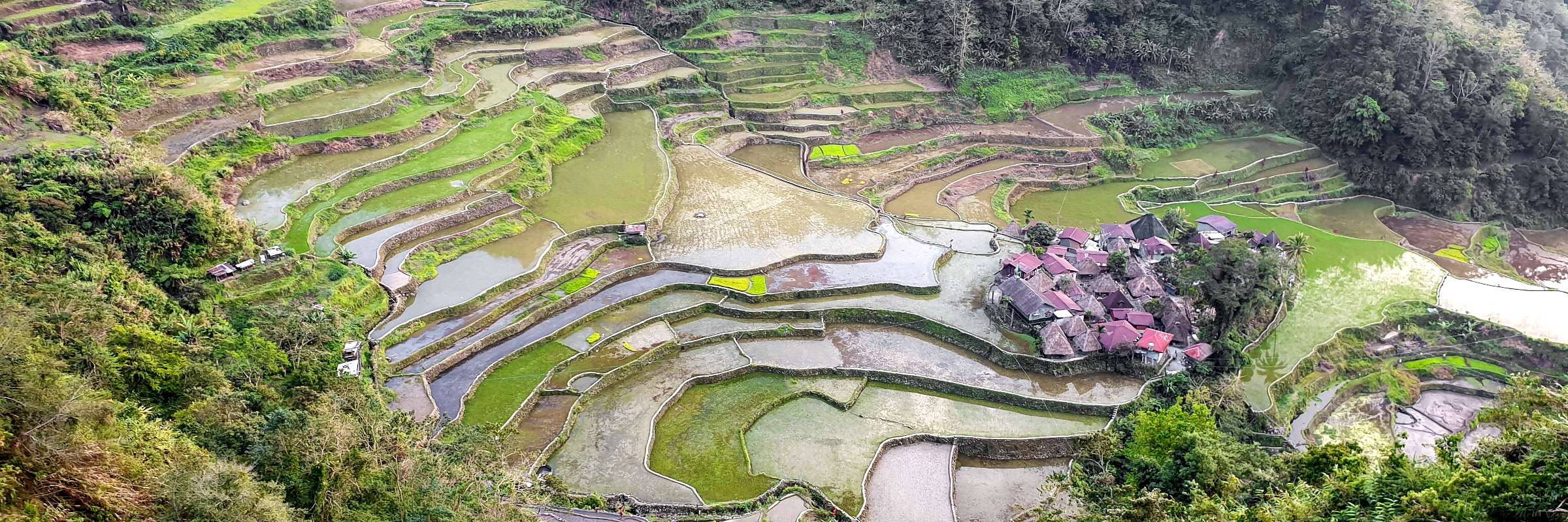 Die etwa 2.000 Jahre alten Reisterrassen von Banaue gehören seit 1995 zum UNESCO-Weltkulturerbe.