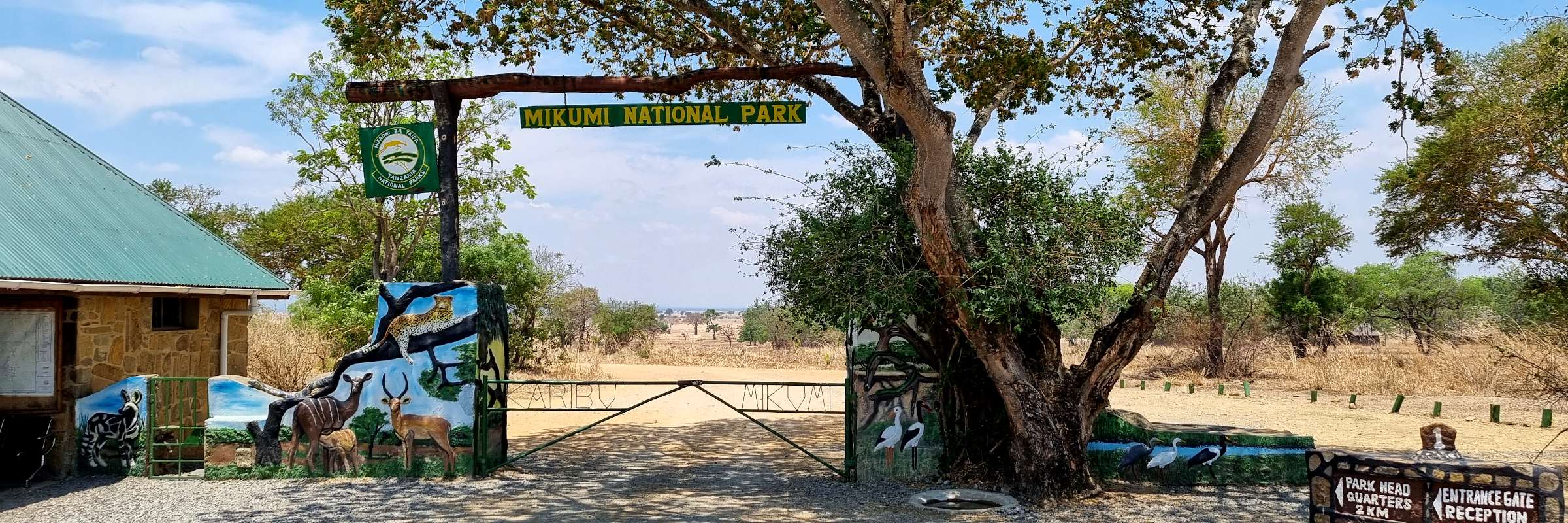 ParkeinTrotz seiner beachtlichen Größe von 3.230 km² gehört der Mikumi-Nationalpark zu den weniger besuchten Parks in Tansania, weshalb er im Vergleich zu den anderen als ursprünglicher gilt.gang des Mikumi-Nationalparks in Tansania