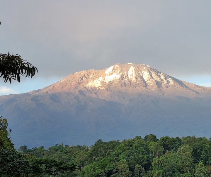 Tansania Abenteuerreise – Die Kaliwa-Lodge im Herzen des Kilimandscharo-Gebiets bietet eine traumhafte Aussicht auf den höchsten Berg Afrikas.