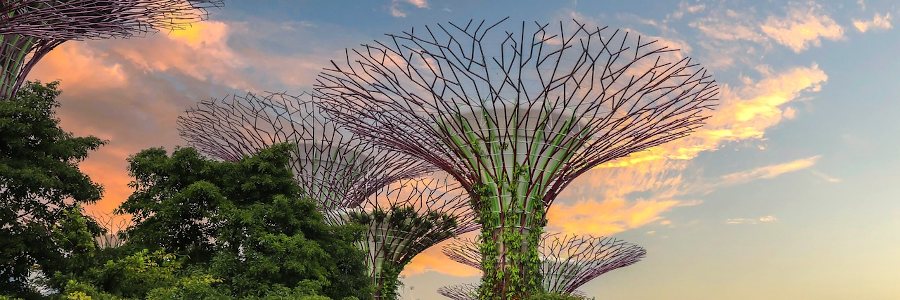 Singapur Free-Stopover – Sammeln Sie einen ersten Eindruck vom Insel-Staat Singapur