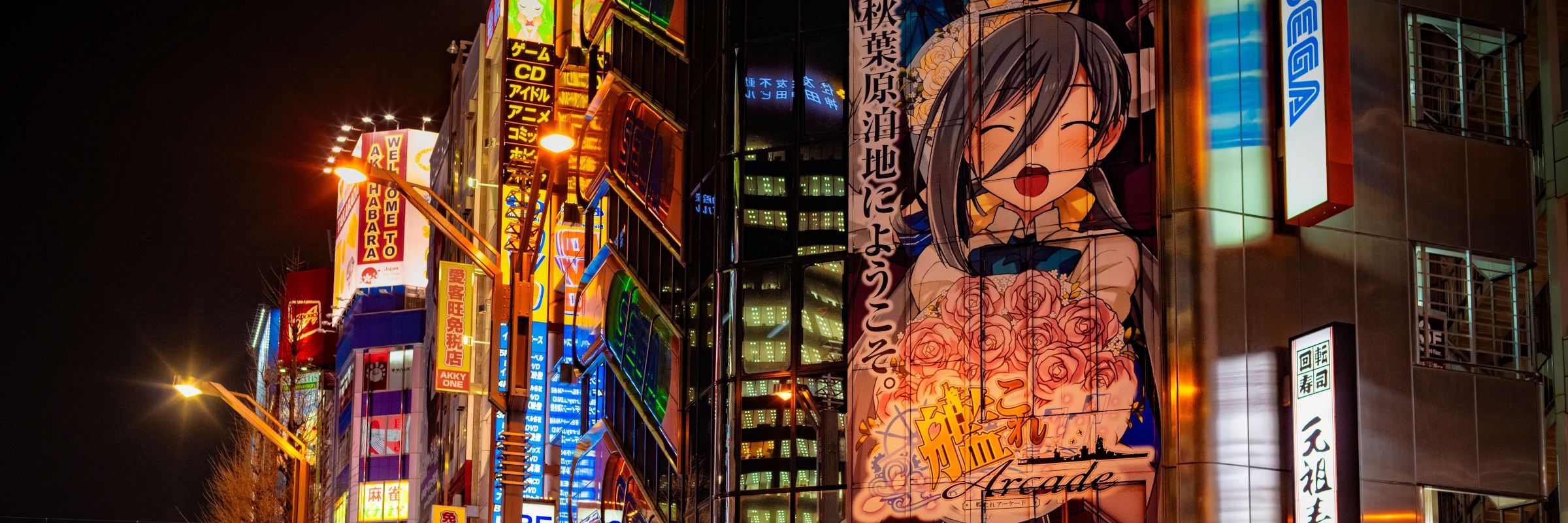 Tokyos Stadtteil Akihabara ist das Herz des japanischen Elektronikhandels und auch ein Hotspot für die Bereiche Anime, Manga und Merchandise.