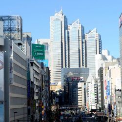 Tokyo ist die bevölkerungsreichste Metropole Japans und Sitz der Regierung.