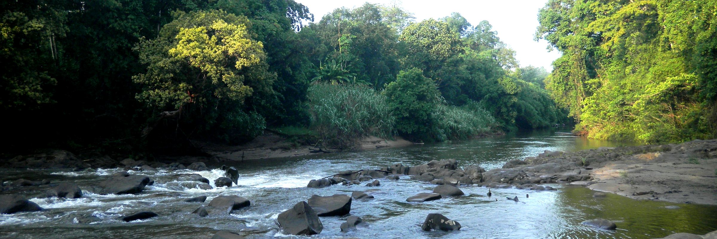 Der indonesische Bundesstaat Kalimantan auf der Insel Borneo zeichnet sich durch die mit Regenwald dichtbewachse Landschaft und sein verzweigtes Flussnetz aus.