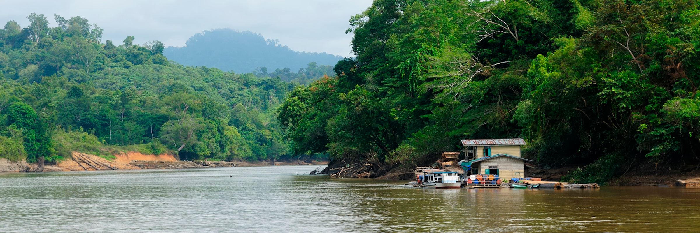 Neben den traditionellen Langhäusern gibt es auch auf Stelzen gebaute Dayak Siedlungen am Flussufer.