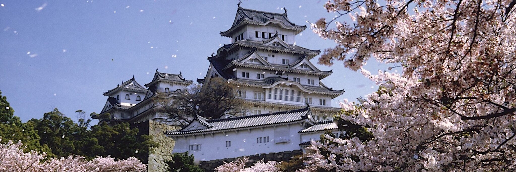 Die „Burg des weißen Reihers“ in Himeji ist Teil des UNESCO-Weltkulturerbes und gilt als Japans größte und schönste Burg.