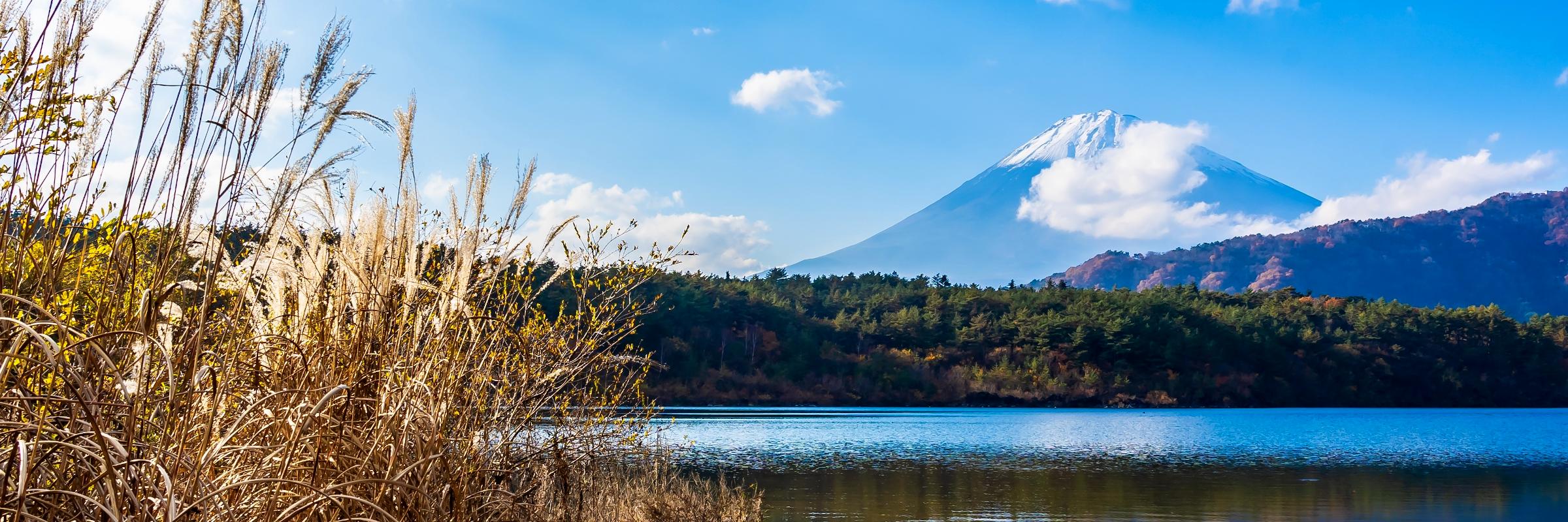 Der Kawaguchi-See nahe ist einer der Fünf Fuji-Seen nahe des Vulkanbergs Fuji in Japan und Teil des Fuji-Hakone-Izu-Nationalpark.