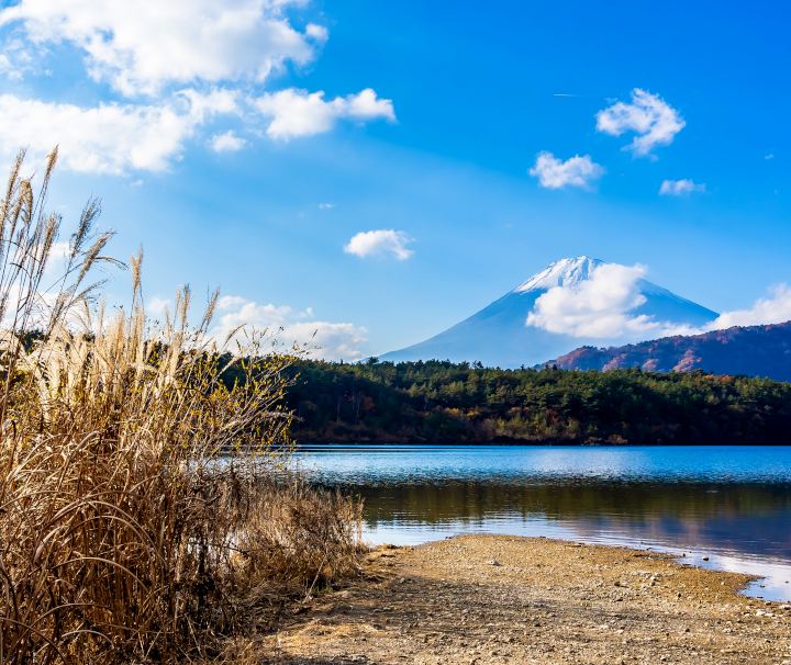 Der Kawaguchi-See nahe ist einer der Fünf Fuji-Seen nahe des Vulkanbergs Fuji in Japan und Teil des Fuji-Hakone-Izu-Nationalpark.