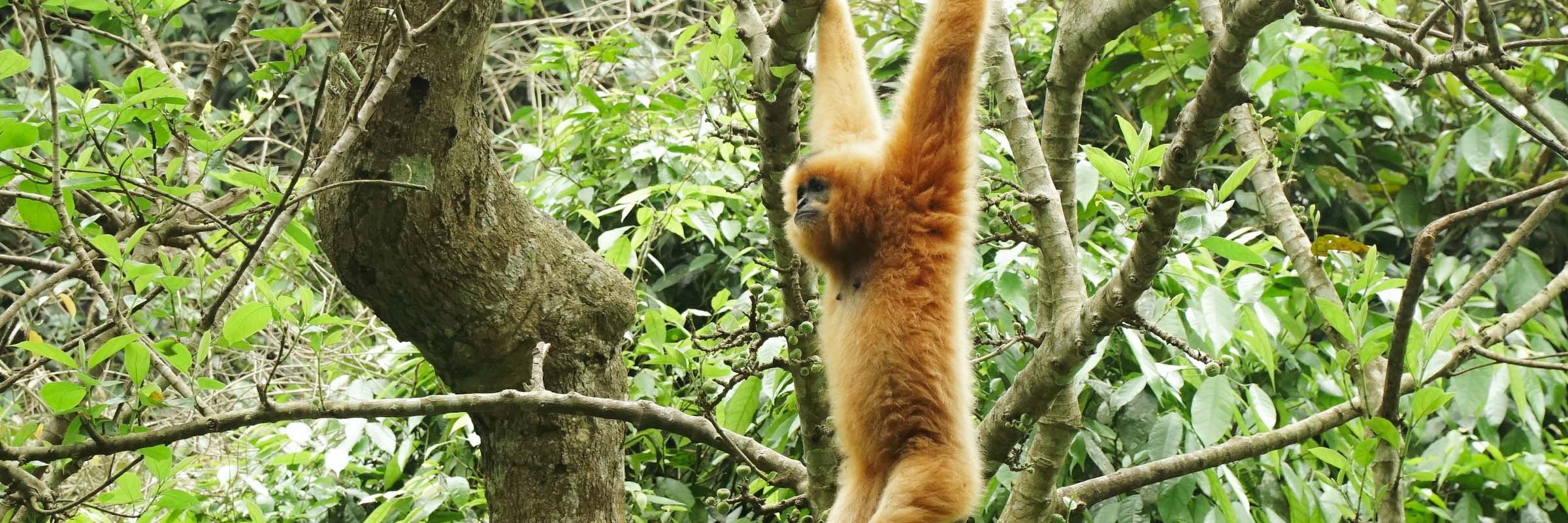 Ein Aufenthalt im Nam Cat Tien Nationalpark lohnt sich