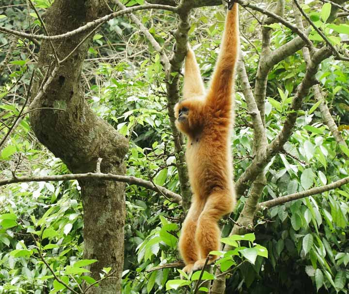 Artenvielefalt und viel Natur im Nam Cat Tien Nationalpark Südvietnam Privatreise