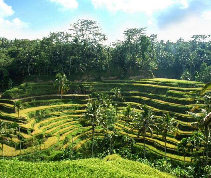 Produktbild-ansicht-Mythos Bali – individuelle Rundreise Post Thumb Bild