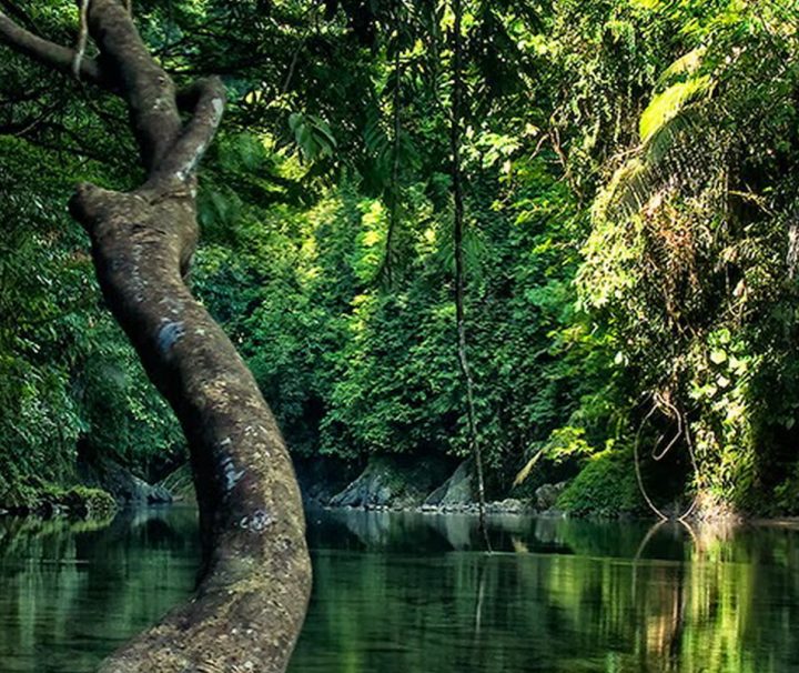 Produktbild-flusslandschaft-Sumatra Trekking – Abenteuer im Land der Orang Utan Mit einer Fläche von etwa 9.000 km² ist der Gunung Leuser Nationalpark eines der größten Naturreservate Indonesiens.