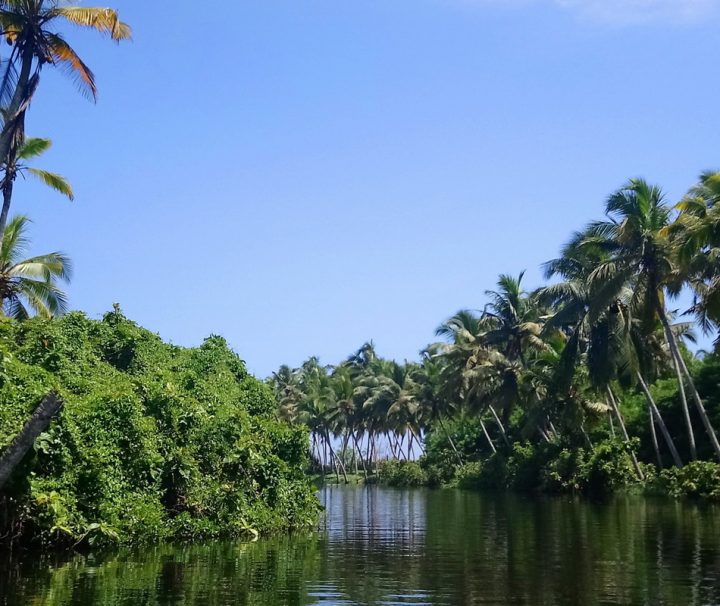 Kerala Highlights