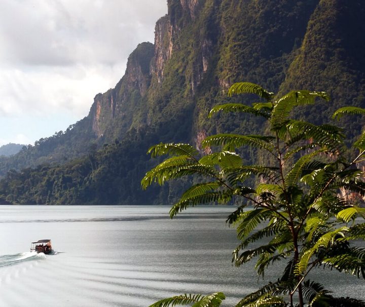 Atemberaubende Aussichten vom Elephant Hills Rainforest Camp