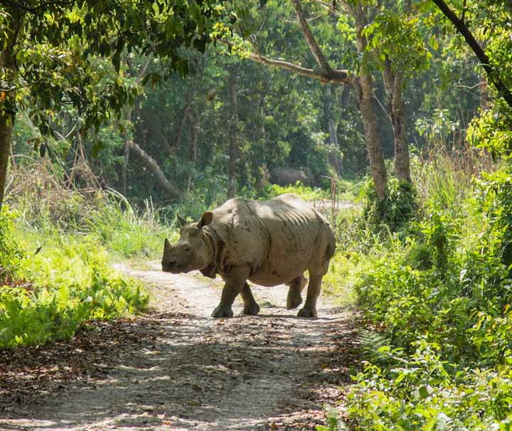 Nepal Rundreise