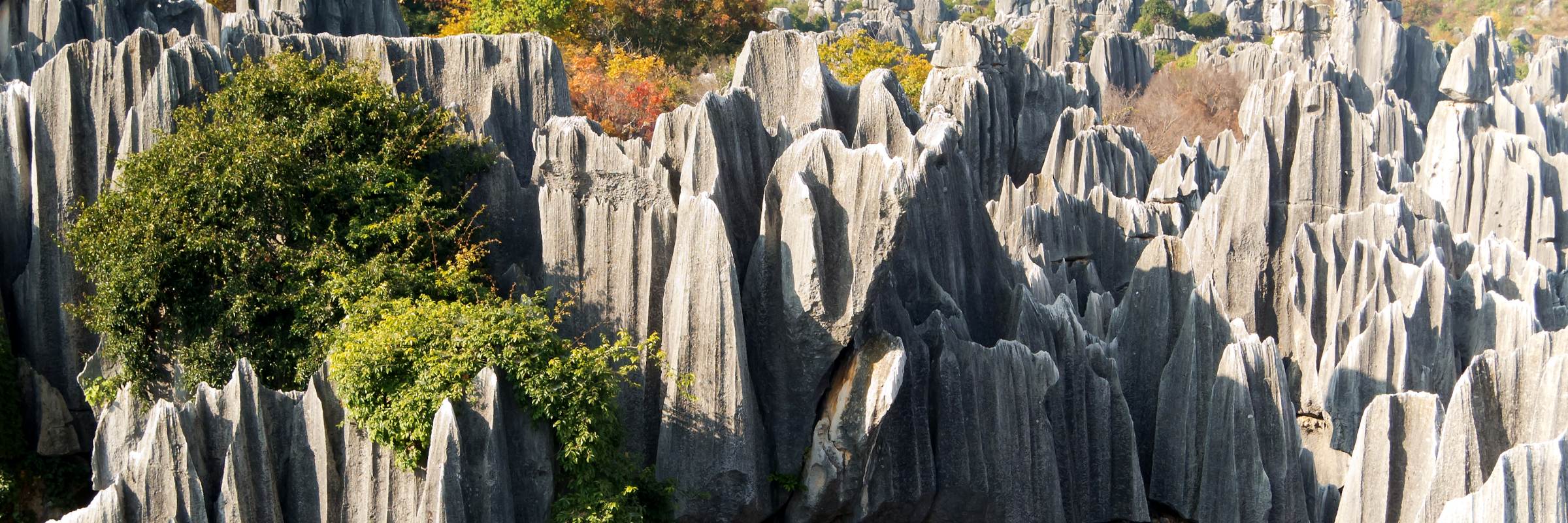 Der Steinwald Shilin zählt wie einige andere Karstlandschaften in Südchina seit 2007 zum UNESCO-Welterbe.
