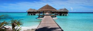 Die Inselwelt der Malediven steht wie keine andere für Traumurlaub mit kristallklarem Wasser, feinem weißen Sandstrand und wunderschönen Bungalowanlagen auf kleinen Inseln.